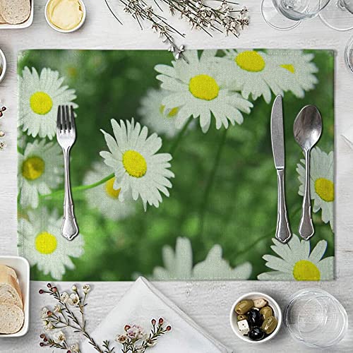 Daesar Platzset 4er Set Baumwolle, Platzdeckchen Abwaschbar 42x32 mit Gänseblümchen Muster Tischset rutschfest für Glastisch Esstisch von Daesar