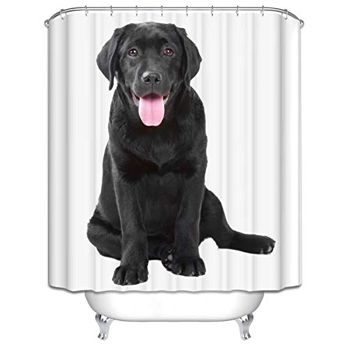 Daesar Wasserdicht Duschvorhang 150x180 cm Labrador Retriever Schwarz Hund Duschvorhang Antischimmel aus Polyester-Stoff Daesar Wasserdicht Duschvorhang 150x180 cm Labrador Retriever Schwarz Hund Duschvorhang Antischimmel aus Polyester-Stoff von Daesar