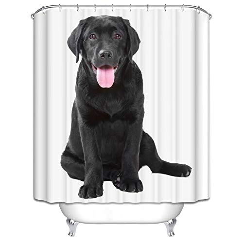 Daesar Wasserdicht Duschvorhang Antischimmel Labrador Retriever Schwarz Hund Bad Vorhang für Badezimmer 120x180 cm von Daesar
