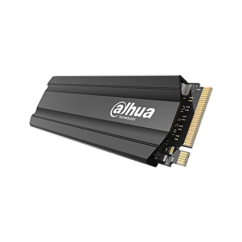 Dahua SSD E900 256GB NVME von Dahua