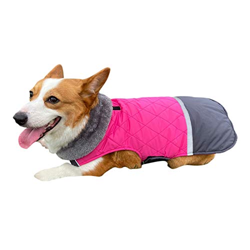 DAIHAN Hundemäntel mit Fleecekragen für Kleine Hunde, wasserdichte, Warme Welpenjacke Winterjacke Reflektierend Hundemantel Jacke Ärmellose Gepolsterte Weste,Pink,XXL von DAIHAN