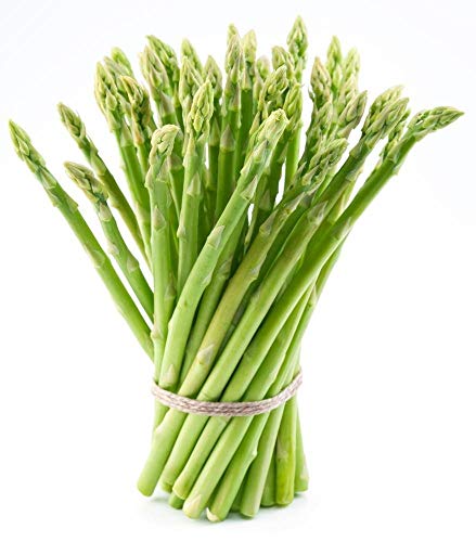 2nd Year Mary Washington Variety Asparagus Roots/Plants (10-Kronen) von Dailyfire