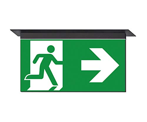 daisalux Ikus – Panel Einbauleuchte Deckenleuchte ikus-mp Doppel rtd1628 schwarz daisalux Ikus – Panel Einbauleuchte Deckenleuchte ikus-mp Doppel rtd1628 schwarz von Daisalux