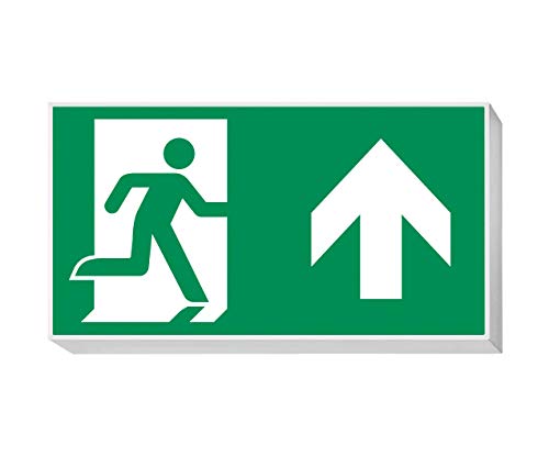 daisalux Lisu – Panel Notfall Oberfläche lisu-n rtd1331 grau silber von Daisalux