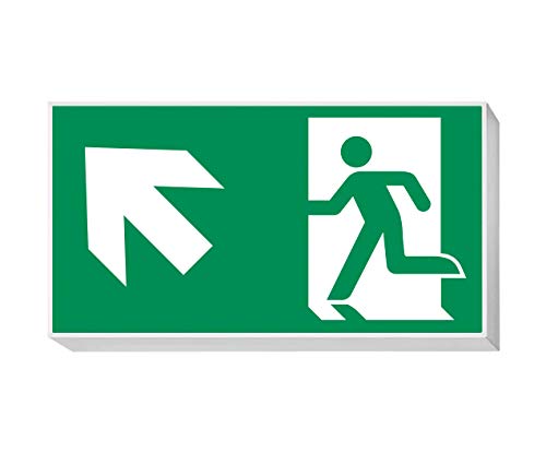 daisalux Lisu – Panel Notfall Oberfläche lisu-n rtd1335 grau silber von Daisalux