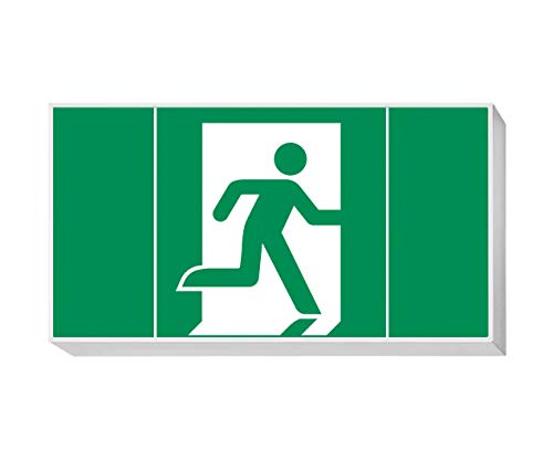 daisalux Lisu – Panel Notfall Oberfläche lisu-n rtd1336 grau silber von Daisalux