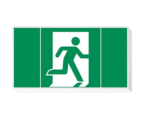 daisalux Lisu – Panel Notfall Oberfläche lisu-n rtd1336 weiß von Daisalux