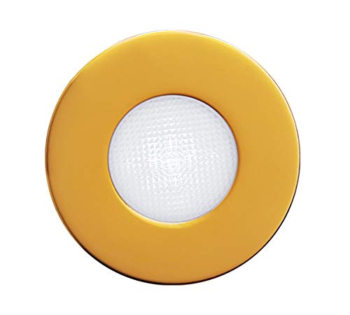 Balizas LYRA R/B (AU,TR,230V) - Tensión alimentación: Oro - Color difusión: Transparente - Color embellecedor: 230V 50Hz - Caja de empotrar: Sí - Color LEDs: Inexistente von Daisalux