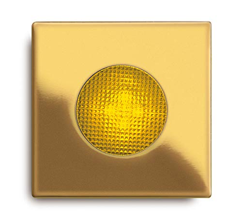 Balizas LYRA C/A (AU,TR,230V) - Tensión alimentación: Oro - Color difusión: Transparente - Color embellecedor: 230V 50Hz - Caja de empotrar: Sí - Color LEDs: Inexistente von Daisalux