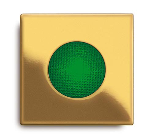 Balizas LYRA C/V (AU,TR,230V) - Tensión alimentación: Oro - Color difusión: Transparente - Color embellecedor: 230V 50Hz - Caja de empotrar: Sí - Color LEDs: Inexistente von Daisalux
