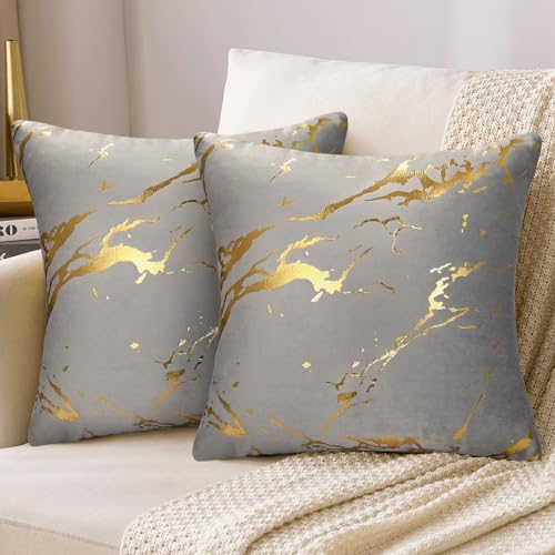 Kissenbezüge Dekorative Kissenhülle Samt Kissen 45x45 cm Gold Marmor Muster Sofakissen Dekokissen Kissenhülle Modern Zierkissen Bezug Couchkisen für Sofa Schlafzimmer Büro Auto 2er Set Grau von DakTou