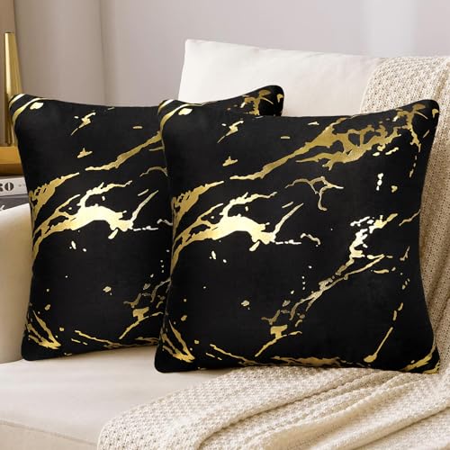 Kissenbezug Samt Sofakissen Schwarz Gold Marmor Muster 45x45 cm Modern Luxus Dekokissen Couchkissen Kissenhülle Zierkissenbezug Dekokissen für Sofa Sessel Zuhause Schlafzimmer 2er Set von DakTou