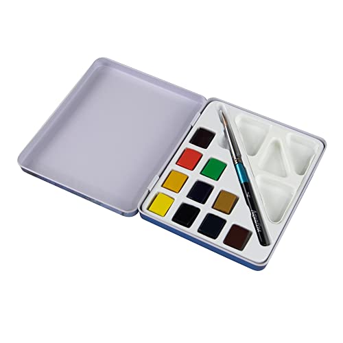 Daler-Rowney Aquafine Aquarellfarbe, halbe Pfannenfarbe, Reise-Set, 10 + 1 Aquafine Aquarellpinsel, ideal für Profis und Anfänger, Künstler und Studenten von Daler Rowney