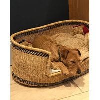 Natürliches Haustierbett | Handgemachtes Hundebett Katzenkorb Benutzerdefinierte Großes Hundebett| Möbel| Handgefertigtes Welpenbett Gewebtes von DalgotStoreGhana