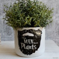 Plant Man Beard Blumentopf, 12cm von DalisayByDaizy