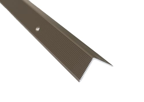 Dalsys Treppenkantenprofil Vinyl, Laminat zum Schrauben Champagner 200cm x 20mm x 20mm Winkelprofil aus Aluminium eloxiert von Dalsys