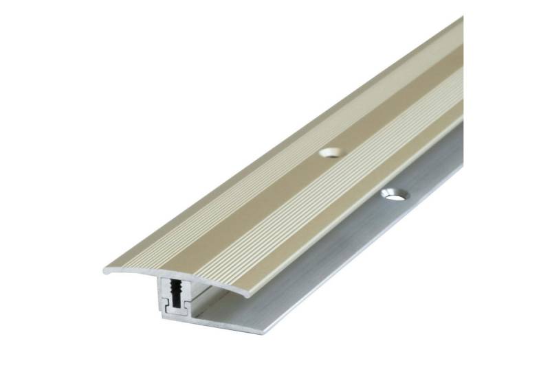 Dalsys Übergangsprofil (Aluminium, 1-St), Dehnungsprofil Übergangsschiene, Ausgleichprofil, Parkett Laminat von Dalsys