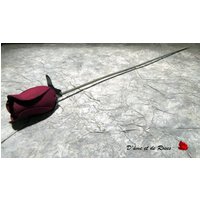 Pflaume Rose in Hackschnitzel von DametdeRoses