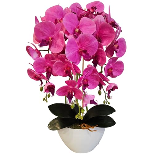 Damich 3pgz künstliche Orchidee, rosa, aus Gummi, wie lebendig Damich 3pgz künstliche Orchidee, rosa, aus Gummi, wie lebendig von Damich