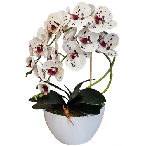 Damich Künstliche Orchidee im Blumentopf Pflanze Künstliche Blume Kunstorchidee Dekoration 2-Blütenzweige Höhe ca. 50cm (Mehrfarbig) von Damich