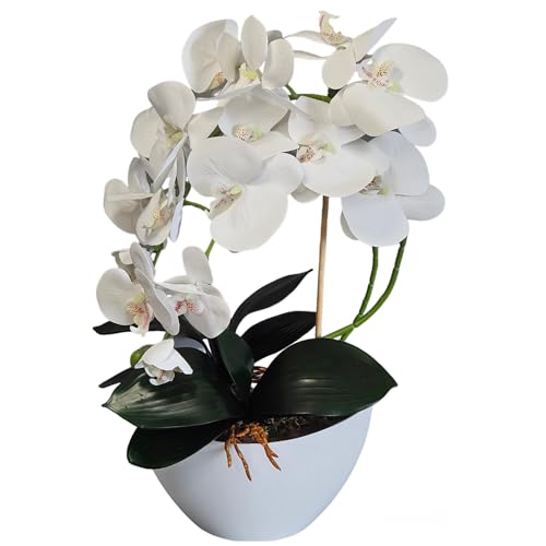 Damich Künstliche Orchidee im Blumentopf Pflanze Künstliche Blume Kunstorchidee Dekoration 2-Blütenzweige Höhe ca. 50cm (Weiß) von Damich