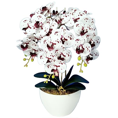 Damich Künstliche Orchidee im Blumentopf Pflanze Künstliche Blume Kunstorchidee Dekoration 3-Blütenzweige Höhe ca. 60cm (Mehrfarbig) von Damich