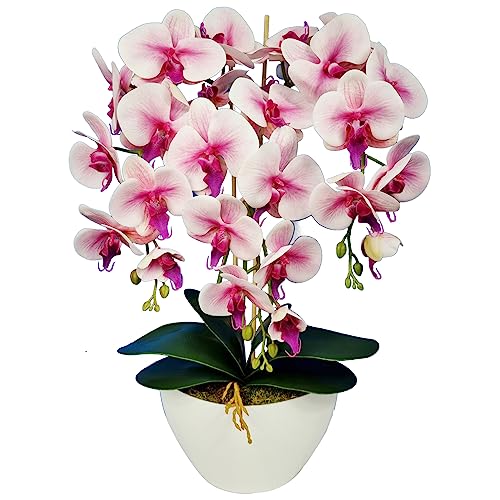 Damich Künstliche Orchidee im Blumentopf Pflanze Künstliche Blume Kunstorchidee Dekoration 3-Blütenzweige Höhe ca. 60cm (Rosa) von Damich