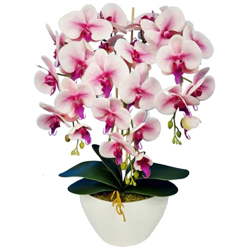 Damich Künstliche Orchidee im Blumentopf Pflanze Künstliche Blume Kunstorchidee Dekoration 3-Blütenzweige Höhe ca. 60cm (Rosa) von Damich