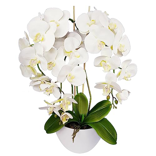 Damich Künstliche Orchidee im Blumentopf Pflanze Künstliche Blume Kunstorchidee Dekoration 3-Blütenzweige Höhe ca. 60cm (Weiß) von Damich
