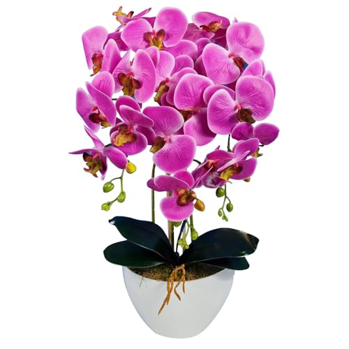 Damich Künstliche Orchidee im Topf Gummi - Modell 3pgbb, mit Moos, 60 cm hoch, 3 Stielen mit vielen Blumen (Rosa) von Damich