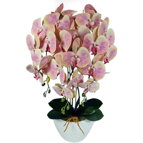 Damich Künstliche Orchidee im Topf Gummi - Modell 3pgbb, mit Moos, 60 cm hoch, 3 Stielen mit vielen Blumen (Teefarbe) von Damich