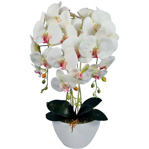 Damich Künstliche Orchidee im Topf Gummi - Modell 3pgbb, mit Moos, 60 cm hoch, 3 Stielen mit vielen Blumen (Weiß mit rosa Herz) von Damich