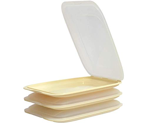 Design 3X Aufschnittboxen/Frischhalteboxen/Frischhaltedose stapelbar in der Farbe Beige geeignet für Aufschnitt wie Wurst und Käse und vieles mehr in der Größe 25x17x3.3cm von Damilo