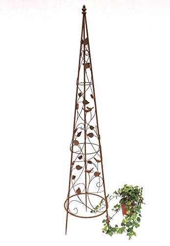 DanDiBo Rankhilfe Pyramide 082547 aus Metall 95 cm bis164 cm Kletterhilfe Rankgerüst Ranke (L - 142 cm) von DanDiBo Ambiente