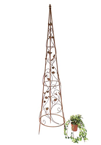 DanDiBo Rankhilfe Pyramide 082547 aus Metall XL-164 cm Kletterhilfe Rankgerüst Ranke von DanDiBo