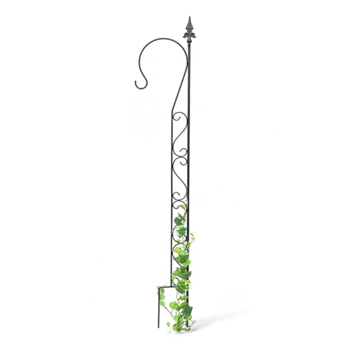 DanDiBo Rankhilfe Garten Metall mit 1 Halter Schwarz Rankgitter für Kletterpflanzen 145 cm Kletterhilfe mit Haken von DanDiBo