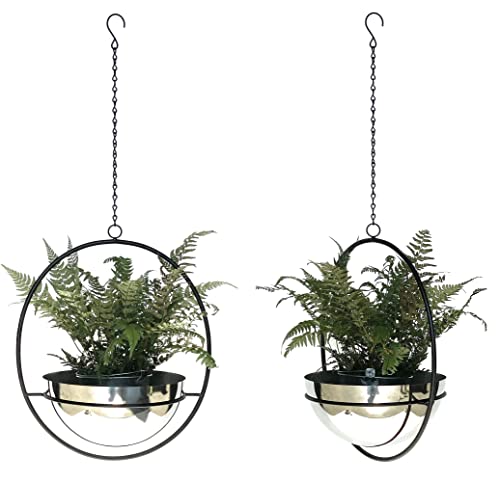 DanDiBo 2er Set Blumenampel Innen Metall Wand Hängepflanzen 78 cm 96087 L mit Topf Silber Pflanzenhänger Blumenhänger Topfhänger Blumen Blumentopfhänger Hängetopf von DanDiBo