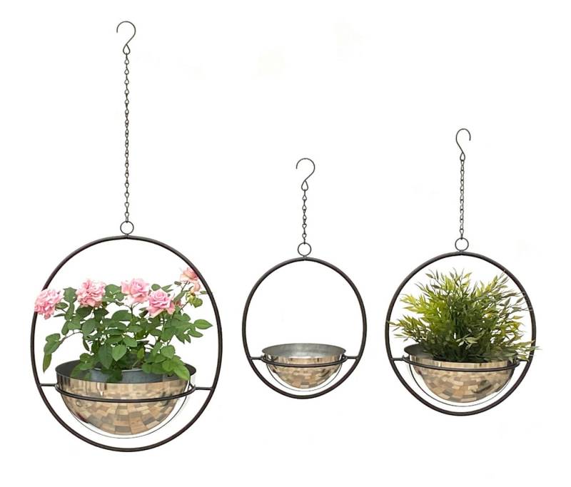 DanDiBo Blumenampel Innen Metall Wand Hängepflanzen 3er Set mit Topf Silber DanDiBo Blumenampel Innen Metall Wand Hängepflanzen 3er Set mit Topf Silber von DanDiBo