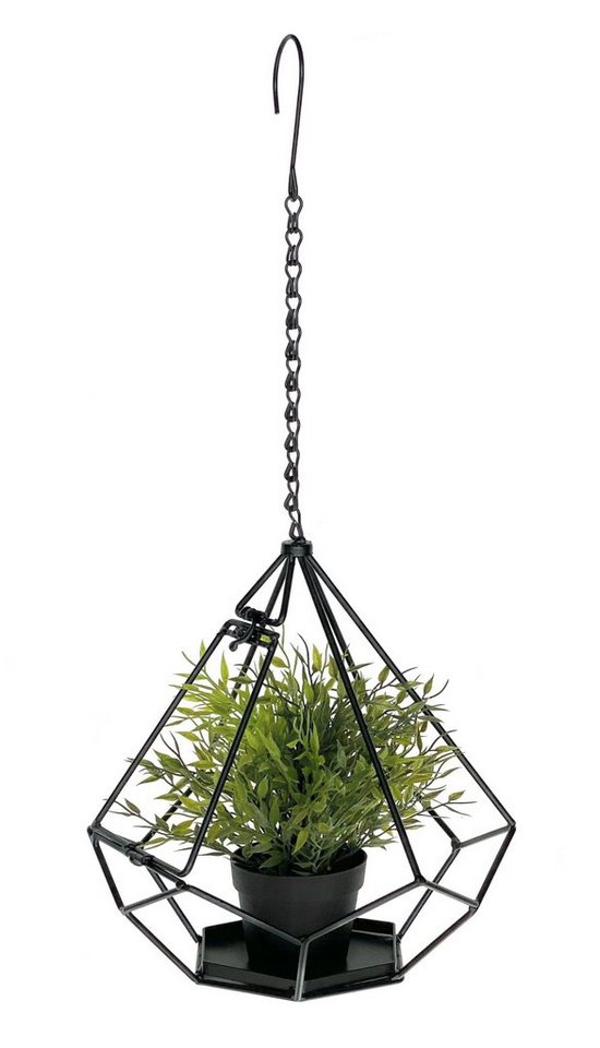 DanDiBo Blumenampel Innen Metall Wand Hängepflanzen 96075 mit Tür 6 Ecken Pflanzenhänger Blumenhänger Topfhänger Blumen Blumentopfhänger Hängetopf von DanDiBo