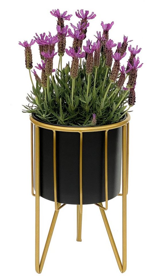 DanDiBo Blumenhocker Blumenhocker mit Topf Metall Gold Schwarz Rund 32-45 cm Blumenständer 96039 Blumensäule Modern Pflanzenständer Pflanzenhocker von DanDiBo