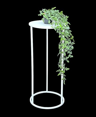 DanDiBo Blumenhocker Metall Weiß Rund Blumenständer Beistelltisch 96483 Blumensäule Modern Pflanzenständer Pflanzenhocker (70 cm) von DanDiBo