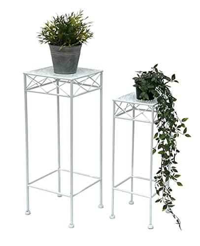 DanDiBo Blumenhocker Weiß Metall Eckig Blumenständer 96314 2er Set Beistelltisch Blumensäule Modern Pflanzenständer Pflanzenhocker DanDiBo Blumenhocker Weiß Metall Eckig Blumenständer 96314 2er Set Beistelltisch Blumensäule Modern Pflanzenständer Pflanzenhocker von DanDiBo