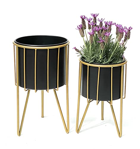 DanDiBo Blumenhocker mit Topf Metall Gold Schwarz Rund 2er Set Blumenständer 96039 Blumensäule Modern Pflanzenständer Pflanzenhocker DanDiBo Blumenhocker mit Topf Metall Gold Schwarz Rund 2er Set Blumenständer 96039 Blumensäule Modern Pflanzenständer Pflanzenhocker von DanDiBo