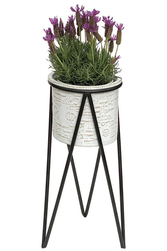 DanDiBo Blumenständer Metall Weiß Schwarz mit Topf 50 cm / 75 cm Modern, Blumensäule Modern Pflanzenständer Pflanzenhocker DanDiBo Blumenständer Metall Weiß Schwarz mit Topf 50 cm / 75 cm Modern, Blumensäule Modern Pflanzenständer Pflanzenhocker von DanDiBo
