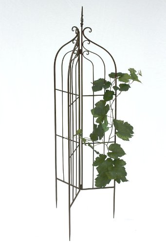 DanDiBo Rankhilfe Garten Metall Schwarz 120033 Rankgitter Blumen 132 cm Kletterpflanzen Rosen Bodenstecker Kletterhilfe Blumenhalter Ranksäule Zaun von DanDiBo