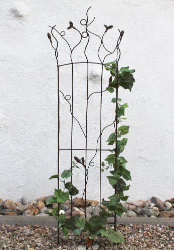 DanDiBo Rankhilfe JD2-12024 Rankgitter aus Metall H 136 cm cm Kletterhilfe Zaun DanDiBo Rankhilfe JD2-12024 Rankgitter aus Metall H 136 cm cm Kletterhilfe Zaun von DanDiBo