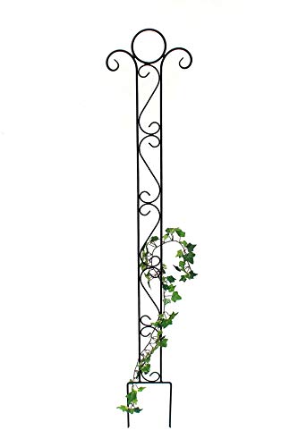 DanDiBo Rankhilfe Metall Classic Rankgitter 135 cm Kletterhilfe Bodenstecker Stecker Gartenstecker Eisengitter Rankgerüst DanDiBo Rankhilfe Metall Classic Rankgitter 135 cm Kletterhilfe Bodenstecker Stecker Gartenstecker Eisengitter Rankgerüst von DanDiBo