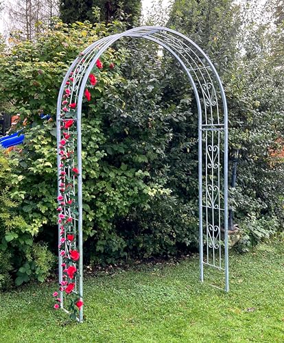 DanDiBo Rosenbogen aus Metall Stabil Verzinkt Massiv 150 cm Torbogen 96520 Wetterfest Rundbogen Volleisen Rankhilfe Gartenbogen Feuerverzinkt von DanDiBo