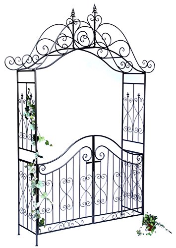 DanDiBo Rosenbogen mit Tor Pforte 131872 aus Metall Gartentor 282x160 cm Kletterhilfe Pergola Spalier Rosenhilfe Rankgerüst von DanDiBo