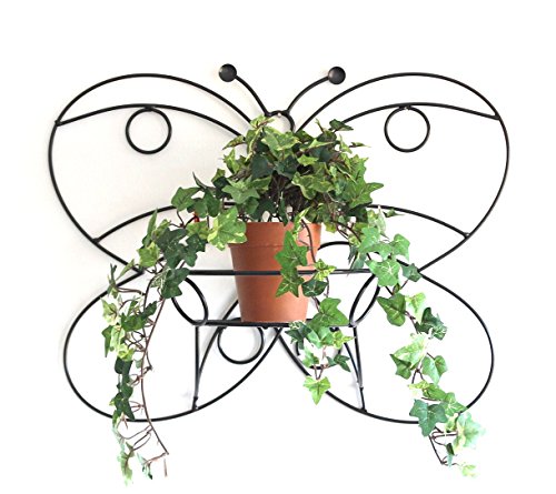 DanDiBo Wandtopfhalter Metall Schwarz 50 cm Schmetterling Blumenständer KW048 Wandhalter Blumentopfhalter Pflanzenhalter Blumenampel von DanDiBo